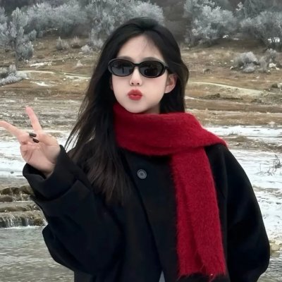 父子神探之卧雪图